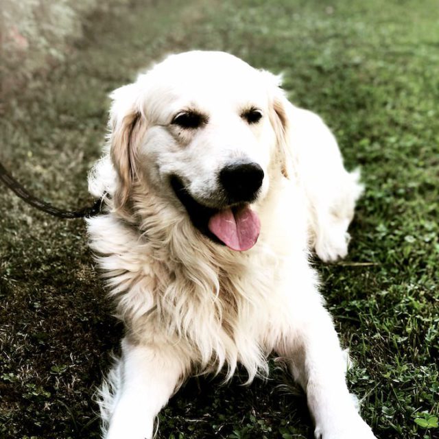 Carlos
